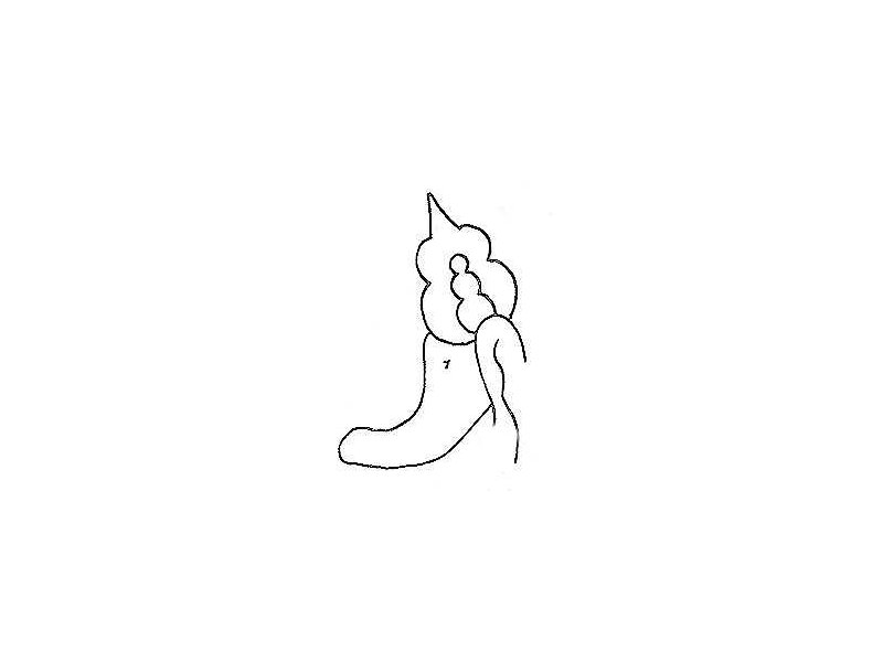 sekar taji-ear jewel-top of ear